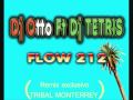 Dj Otto Ft. Dj Tetris - Flow 212 (Tribal 2010)