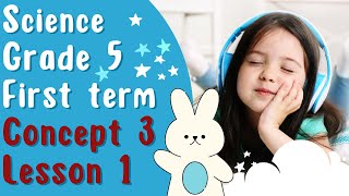 Science | Grade 5 | First term | Concept 3 | Lesson 1 | Pony science |2024