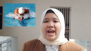 Video Cv S50347 Aireen Natasha Binti Mohd Hariazee K35 Eop