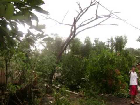 Typhoon Santi in Magdalena laguna