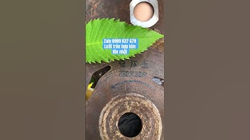 Lưỡi cắt cỏ tròn hợp kim rin nhật - siêu đẹp