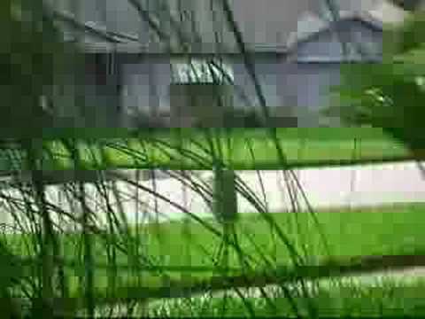 Dipshit Videos House #2 (Neighborhood Asshole)