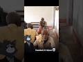 Instagram funny comment
