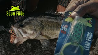 Introducing the Leap Frog by Scum Frog | The Softest Frog in Topwater Fishing screenshot 5