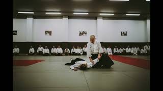 Aikido Training - Hiroyuki Sakurai 7 Dan