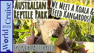 Australian Reptile Park | Koalas, Kangaroos, Platypus & Other Australian Animals