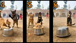 9 Different AI Videos From Same Prompt and Same Image - Prompt & Error