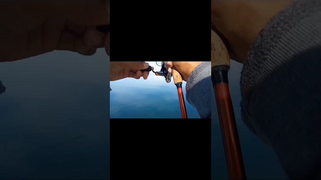 Unlocking my First Squid, Exciting 