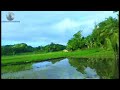 Palayan rice farm arman plaza vlog