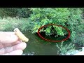 まさか!?この中に芋虫入れたら「池のぬし」釣れちゃった。