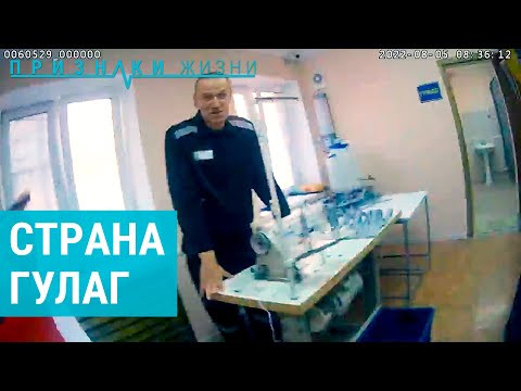 Video: Biography ntawm Sergei Osechkin