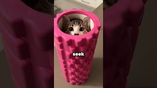 Shocking secrets about cat 🙀#cat