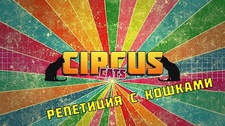 6. ЦИРК. Репетиция кошек. Жизнь артистов цирка. CIRCUS LIFE. Behind the scenes of circus. 6. ЦИРК. Репетиция кошек. Жизнь артистов цирка. CIRCUS LIFE. Behind the scenes of circus.