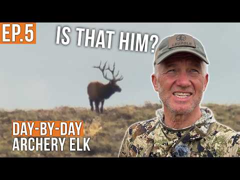 Back for the Bull That Got Away | Archery Elk (EP.5)