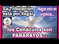 🔴🙏 MENSAJE de SAN Miguel a Lorena 🕊️ si lo hacen serán protegidos...