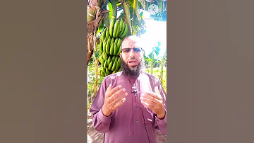 رؤي تبشرك بأن الميت في الجنة 