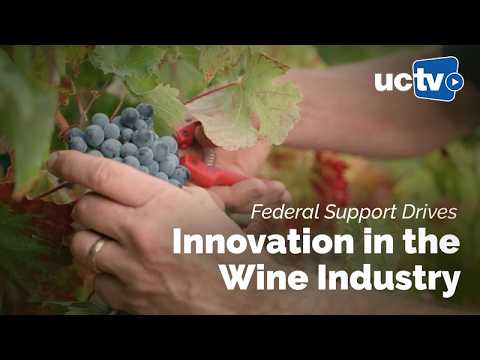Federal Support Drives Innovation in the Wine Industry