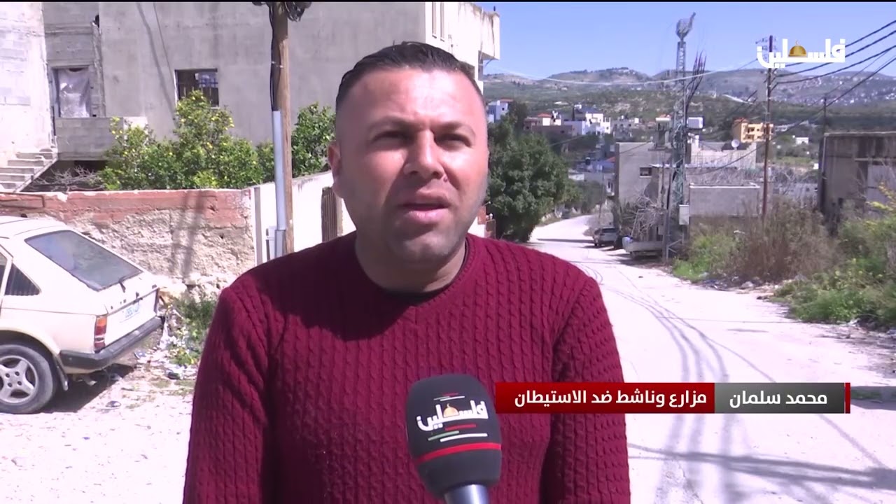 الاحتلال يصدر قرار بقطع مئات أشجار الزيتون في قرية رامين شرق طولكرم