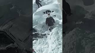 Winter is Wild #snow #ice #icecracking #frozen #winterfun #oddlysatisfying #viralshorts