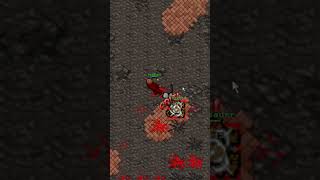 Knight level 5000 caçando de 1 em 1 no Tibia  #tibia #mmorpg #games