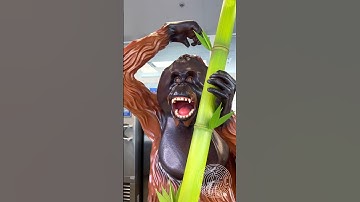 Chocolate Orangutan! 🦧 This is the first voice-over video of one my creations.  #amauryguichon