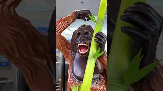 Chocolate Orangutan! ? This is the first voice-over video of one my creations.  #amauryguichon