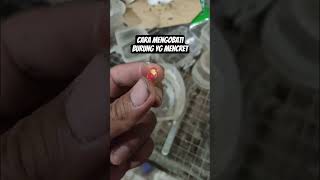 Cara Mengobati Burung Yang Mencret muraibatu murai satyabirdfarm