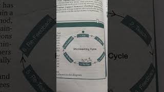 Micro Teaching Cycle