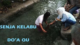 Lagu joget  Ambon Senja kelabu kawanDJ remix slow