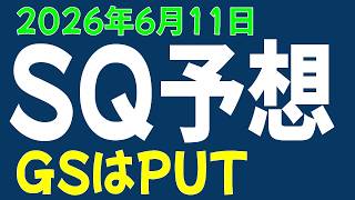 6/11 日経平均先物 オプション SQ予想、GSはPUT