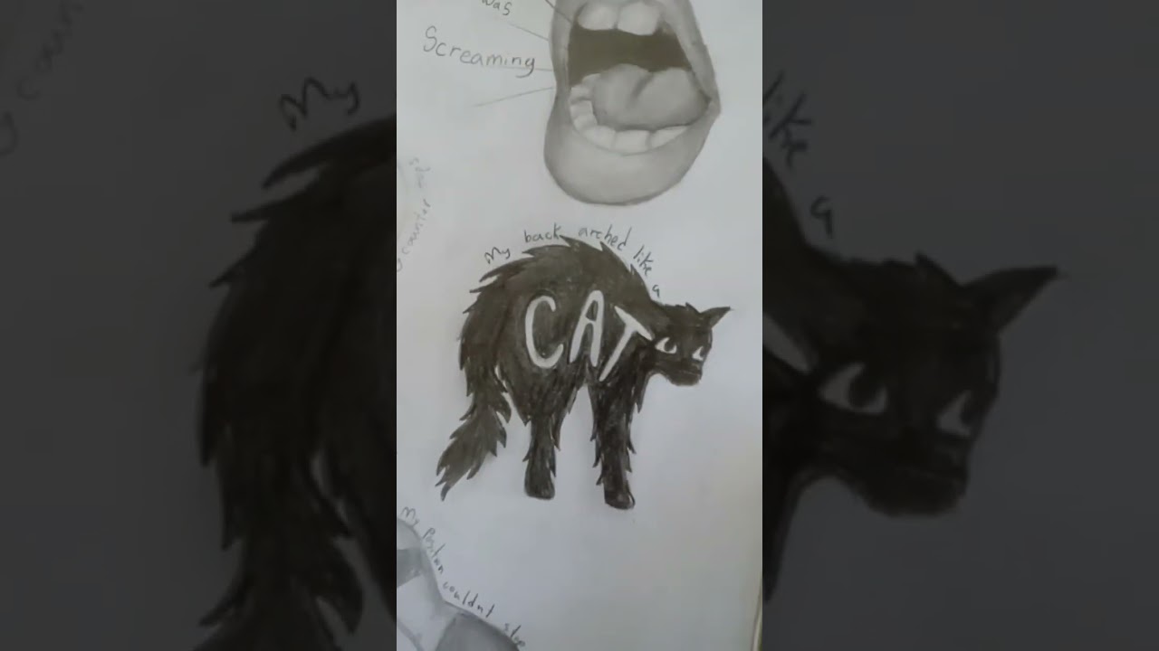 Stargirl interlude || Trend