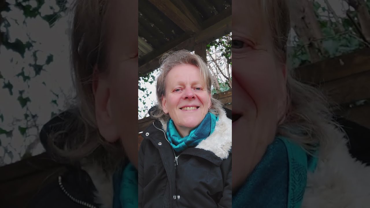 Was macht das Jahr des Feuerpferdes mit dem Feuerpferd?