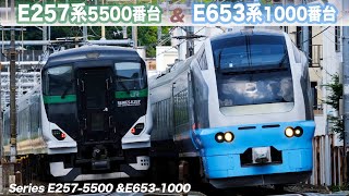 E257系5500番台 & E653系1000番台　並び/ E257-5500 series & E653 5000 series　at Oku
