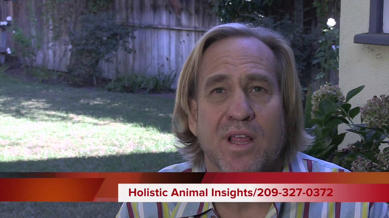 Gift of Animal Communication