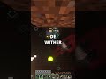SORTE no Nether #shorts #minecraftsurvival