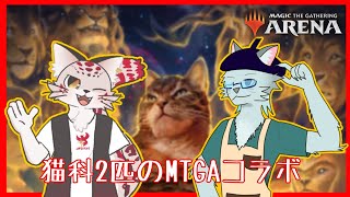 【コラボ】ネコ科2匹でなにかやる【MTGアリーナ】