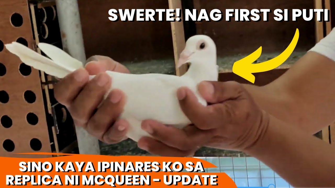 NAG FIRST SI PUTI SA OFFCOLOR CATEGORY - REPLICA NI MC QUEEN MAY MGA INAKAY NA