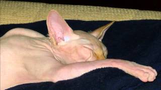 strašidýlko Emílek ♥