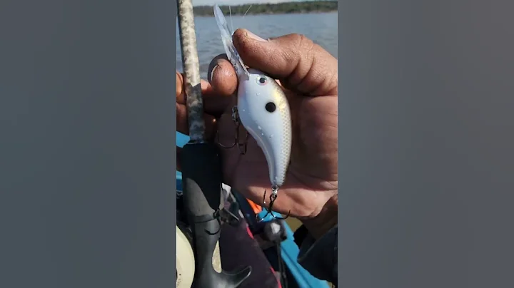 Kvd strike king deep diving swimming shad5x...This crankbait dives 15 feet wich feels kind of wild