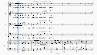 Risen Indeed! / BASS / Choral Guide -  Words and Music by Allen Pote