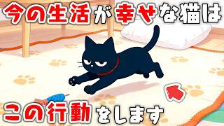 7 things only cats who are living the best life do [Cat trivia