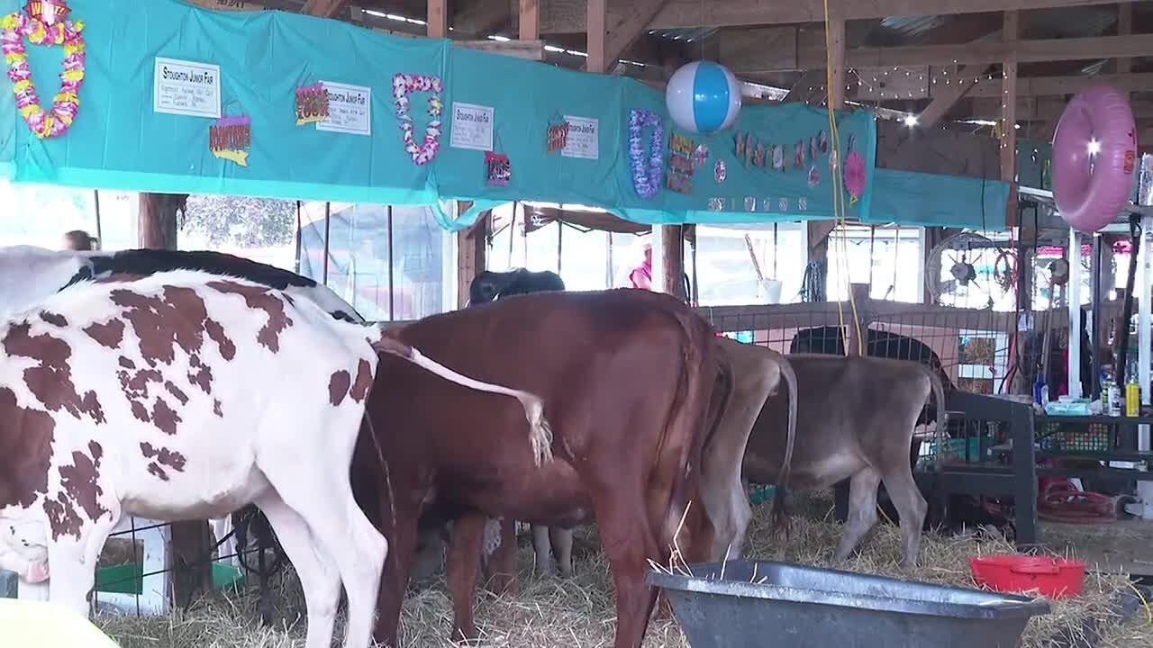 98 years of the Stoughton Fair