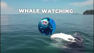 #mozambique #mozambiqueholiday #bibosandsmozambique