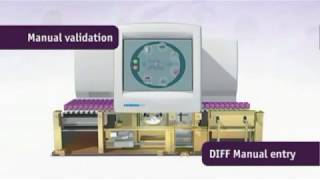 Pentra XL 80