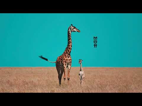 TheologyHD, DV Que & DjChoice - Affection