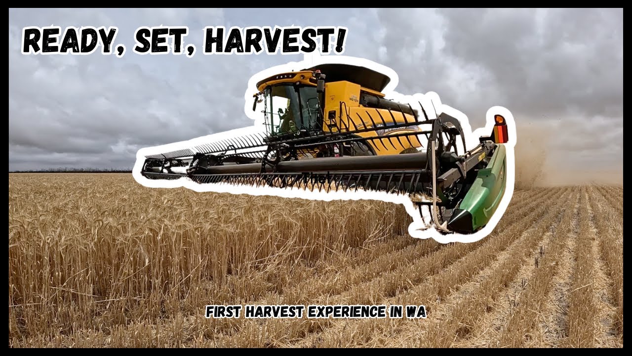 First time harvesting Down Under | Harvest 2024