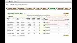 This is the Auto Enrolment Pension Process Demo