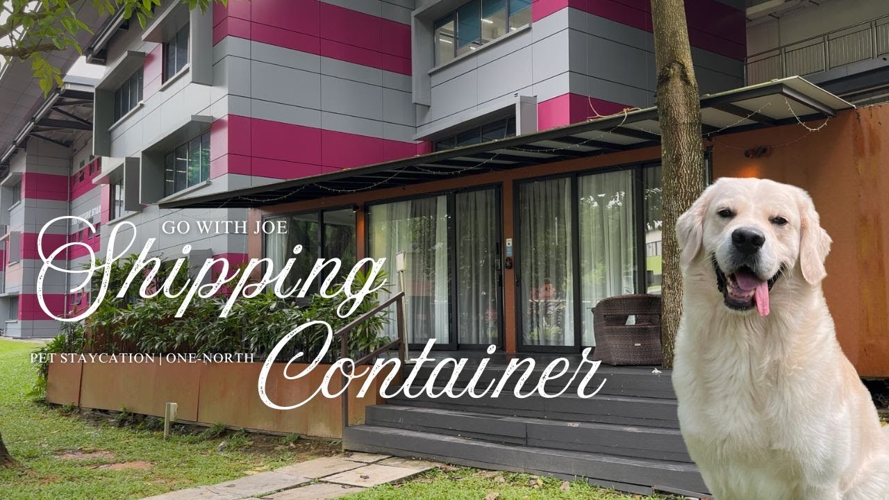 Shipping Container Singapore | Pet-Staycation:Mini-Space, Mega Woofs
