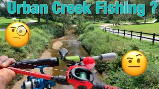 DownTown Greenville Creek Fishing