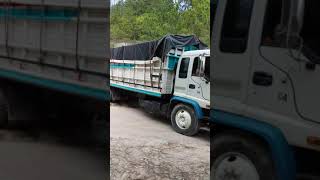 Player Profile isuzu ftr 97 honduras 15 toneladas 🚚🌲💪